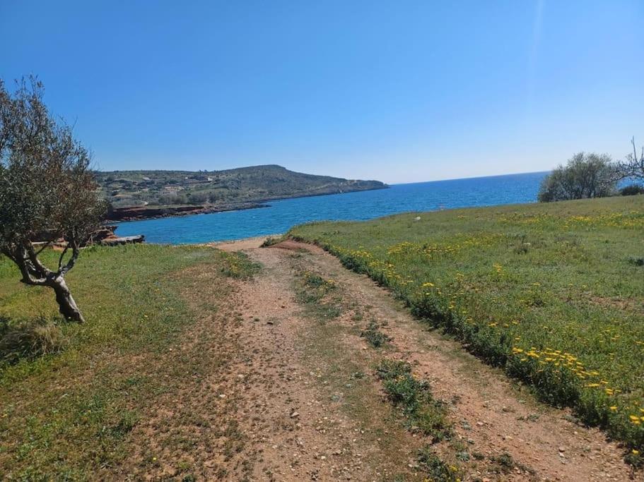 Kokkines * Plitra