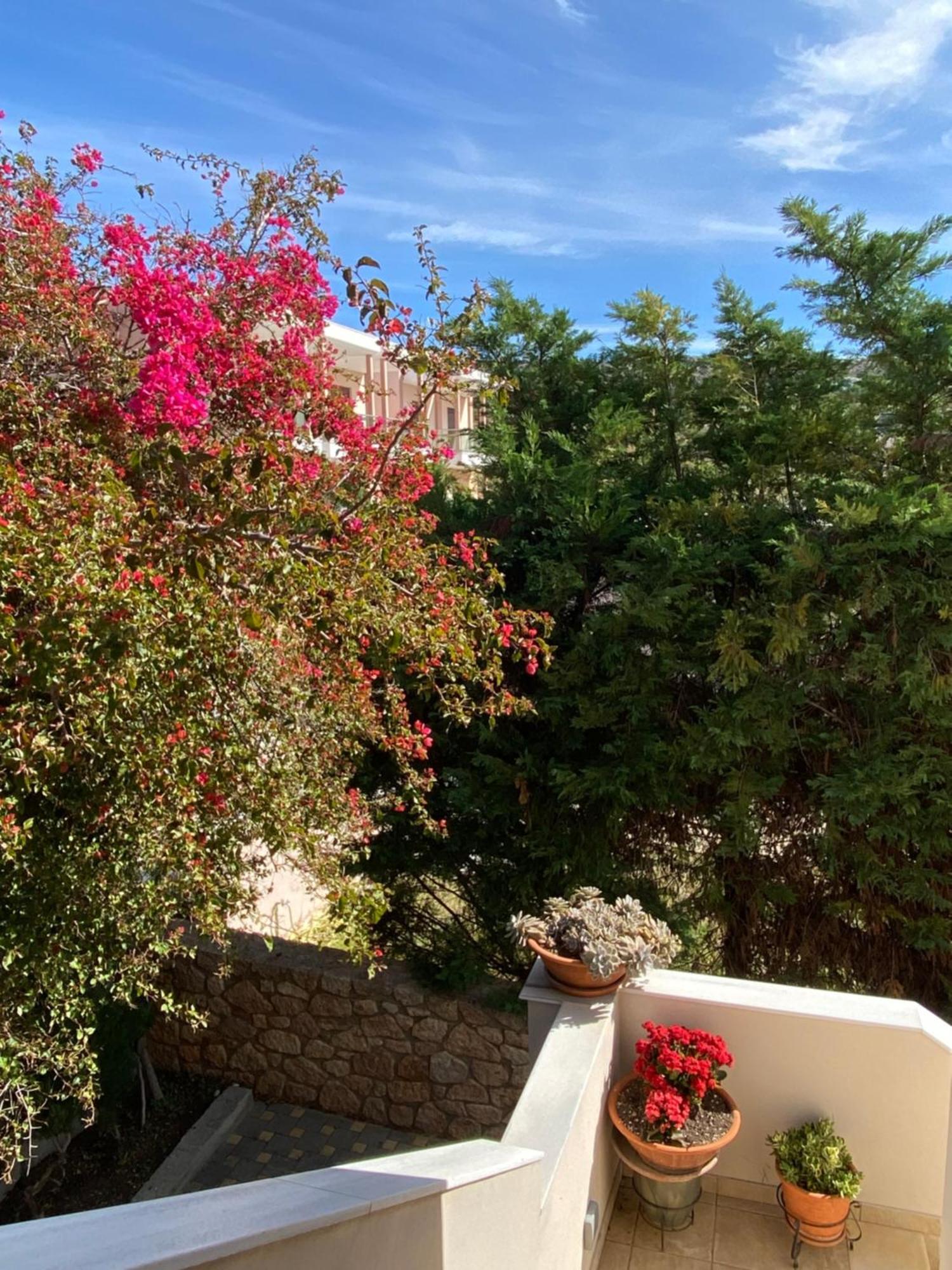 Apartment Kokkines Plitra
